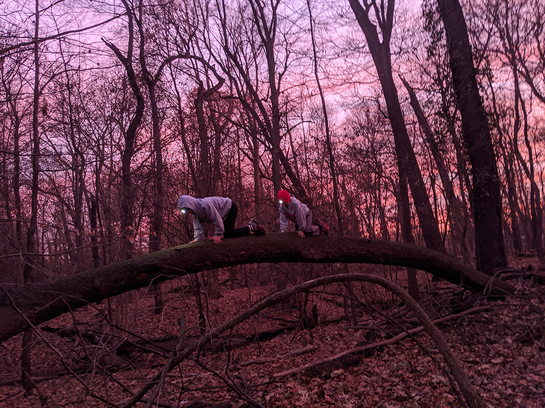 Ian Leahy's nephews play among the trees in the woods behind his childhood home in Royal Oak, Mich.