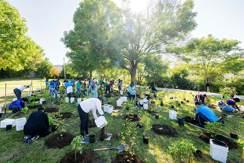 Image of a tree planting event in Toronto Credit City of Toronto