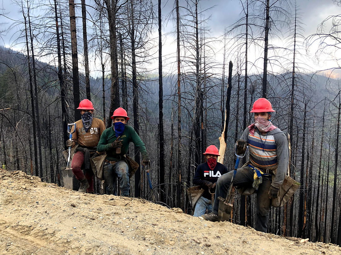 Tree planters planting in the burn scar left by the Carr Fire, 80 miles north of Paradise in Northern California. The Carr Fire burned 230,000 acres in the sweltering summer of 2018 — just months before the Camp Fire.