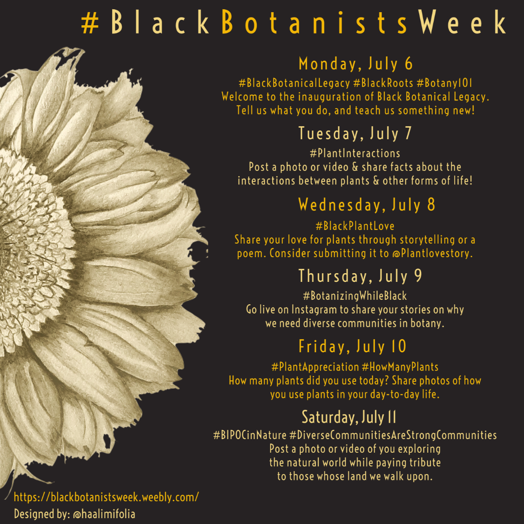 #BlackBotanistsWeek, a social media campaign, helped promote, encourage and create a safe space for BIPOC to connect and share information.