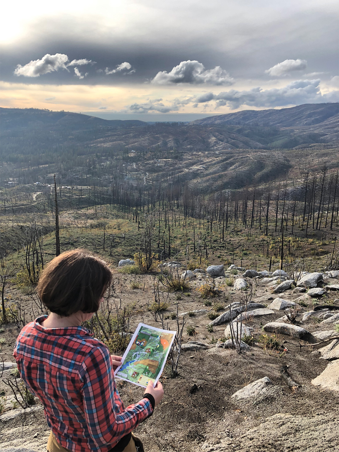 Wolfy Rougle, of the Butte County Resource Conservation District, stands above the Concow Basin, surveying draft plans for three innovative reforestation trials to regrow forests after the Camp Fire.