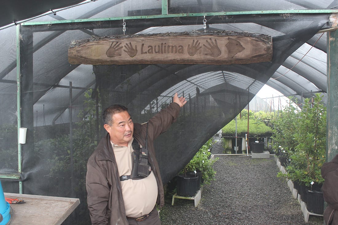 Baron Horiuchi describing the concept of laulima, or many hands. He credits the success of reforestation efforts to the dedicated volunteers and staff working together to return native plants to Hakalau Forest.