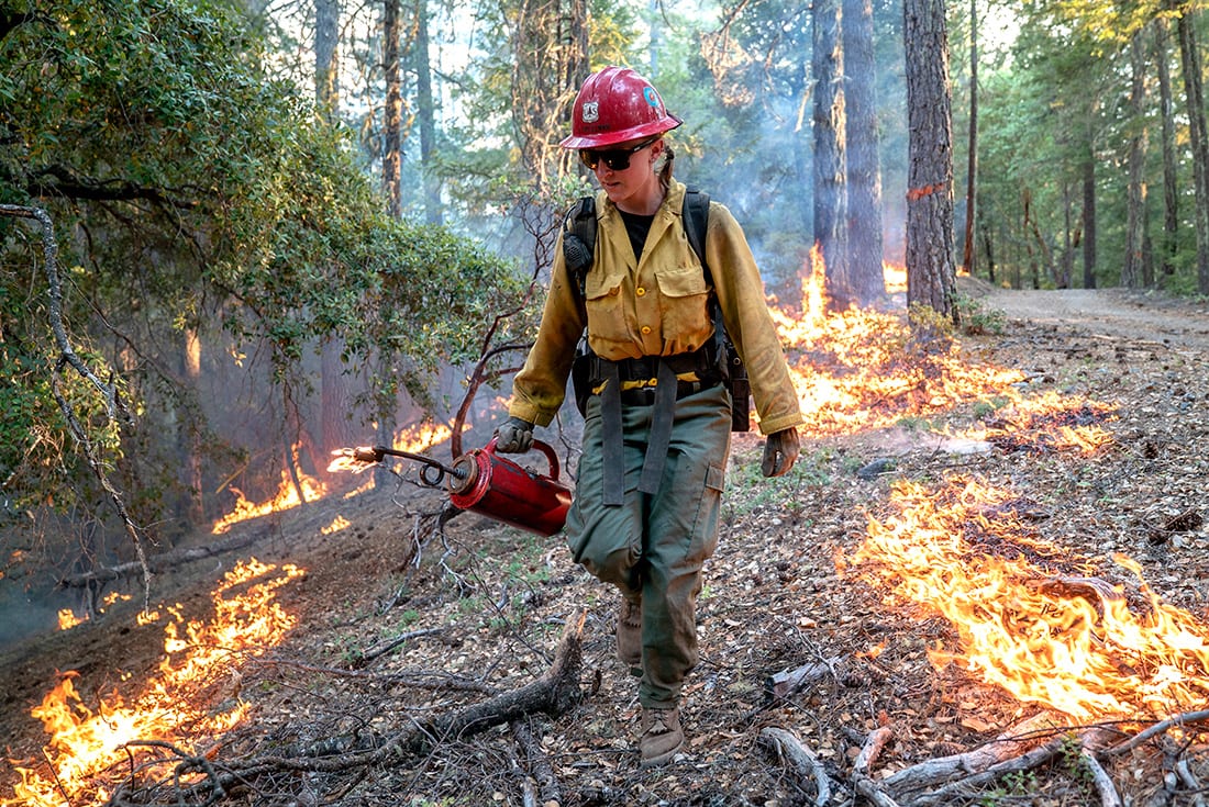 Laura Spellman, a “hot shot” firefighter, uses a drip torch to burn vegetation as part of efforts to contain a 2018 wildfire in Mendocino National Forest, Calif.