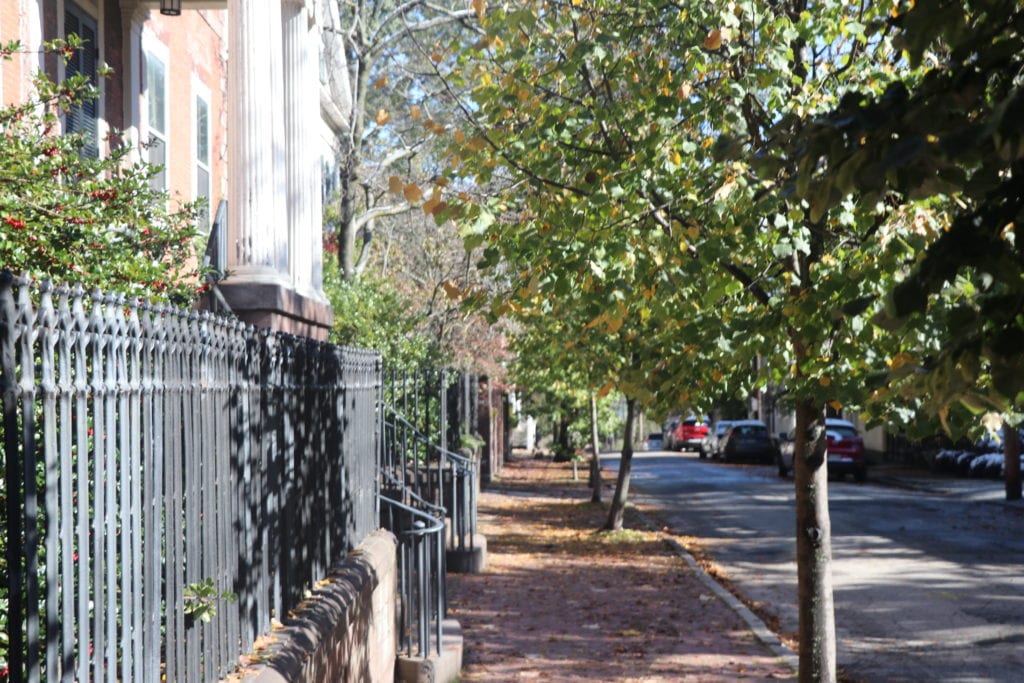 Rhode Island neighborhood with a high Tree Equity Score