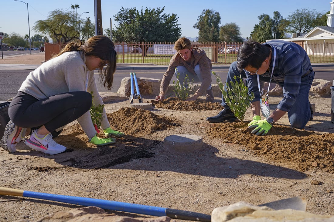 The city of Phoenix is committed to planting trees to help double its vegetative land cover to 25% over the next decade.