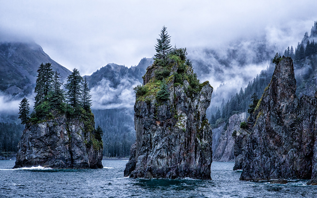 "Endurance in the Kenai Fjords" by Patricia Gilhooly 