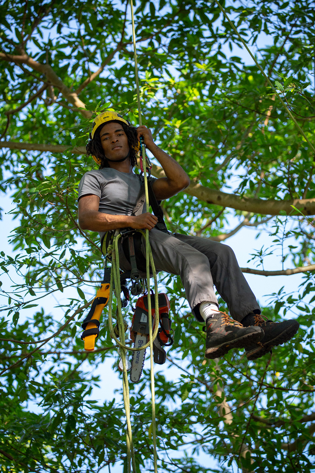 Andressohn works for True Tree Service in Miami, where he is a production arborist, trained to safely ascend and descend trees in order to care for them. Our cities need many more like him. Urban forestry is expected to see a 10% increase in job openings for entry-level positions by 2028.