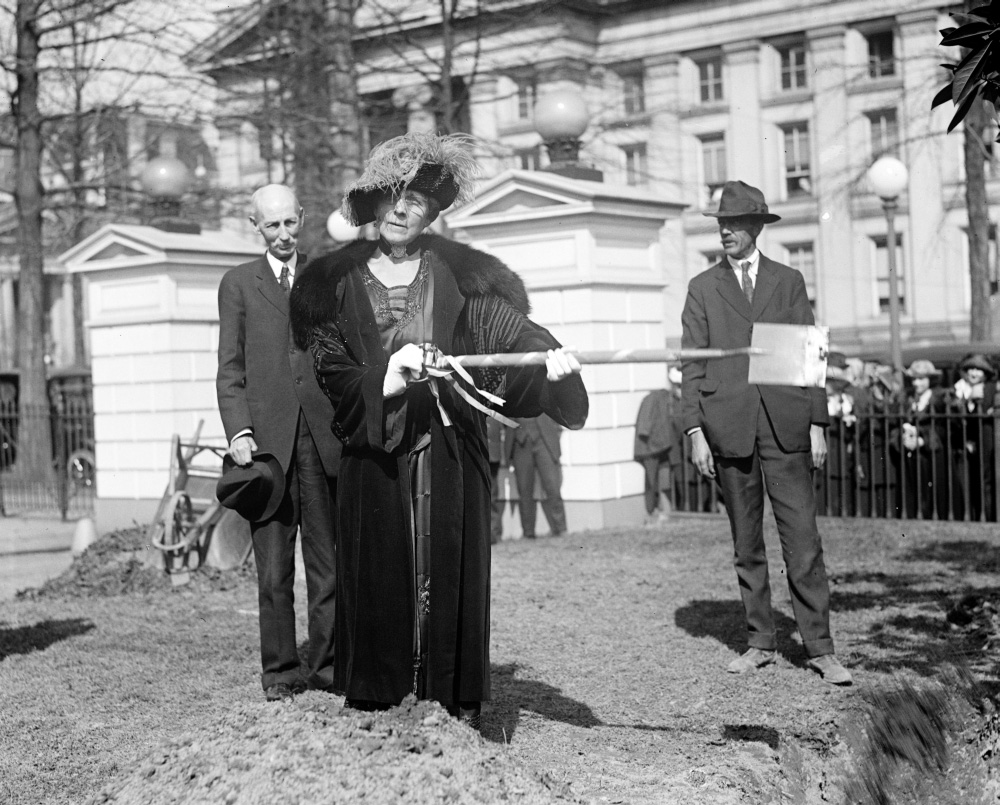 Harding, a vice president of American Forests, helps kick off a 1921 memorial tree planting initiative focused on trees in cities.