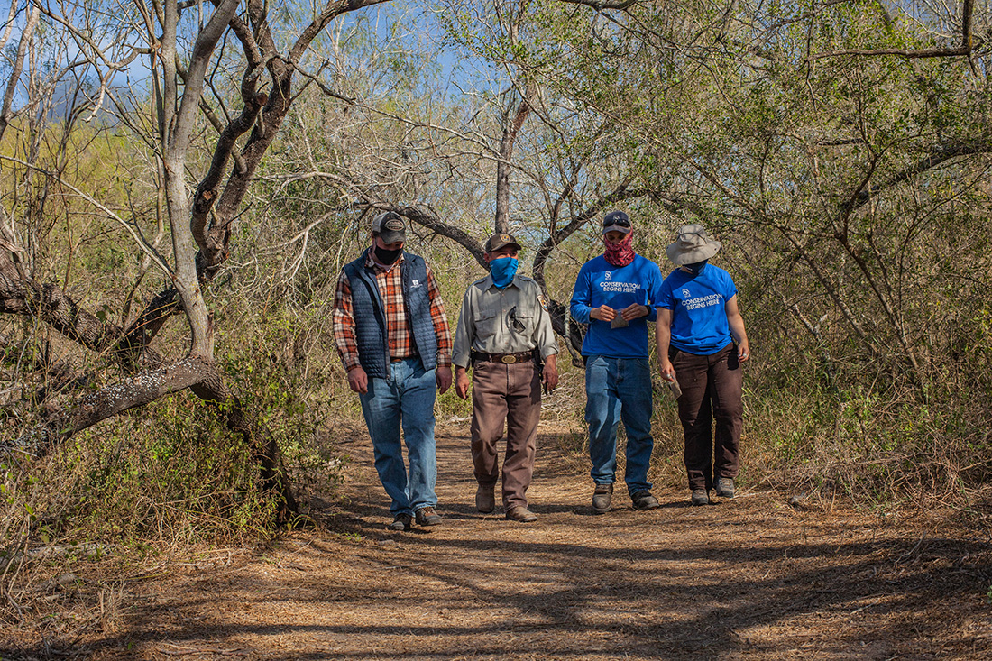 Dale, Rene Ruiz (USFWS), Erica Leiserowitz (SCA) and William Rechin (SCA) walk through Santa Ana National Wildlife Refuge in Alamo, Texas.