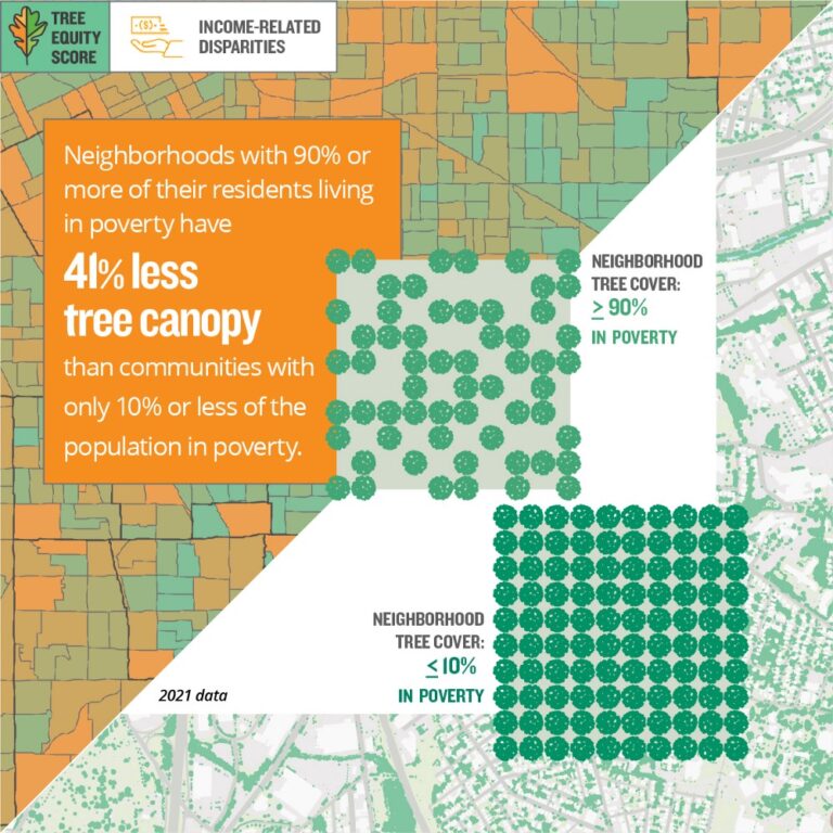 Achieving Tree Equity can help combat extreme heat American Forests
