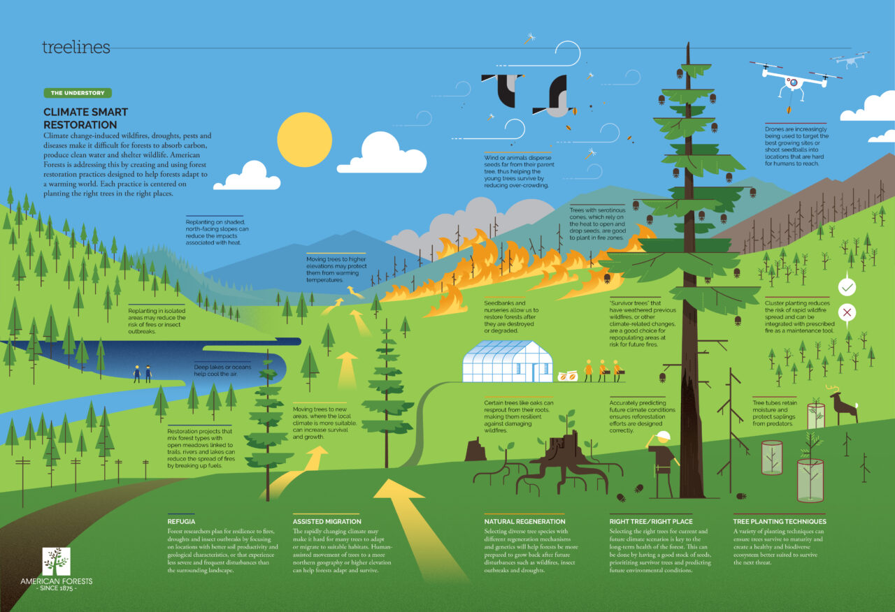 What is climate-smart restoration infographic