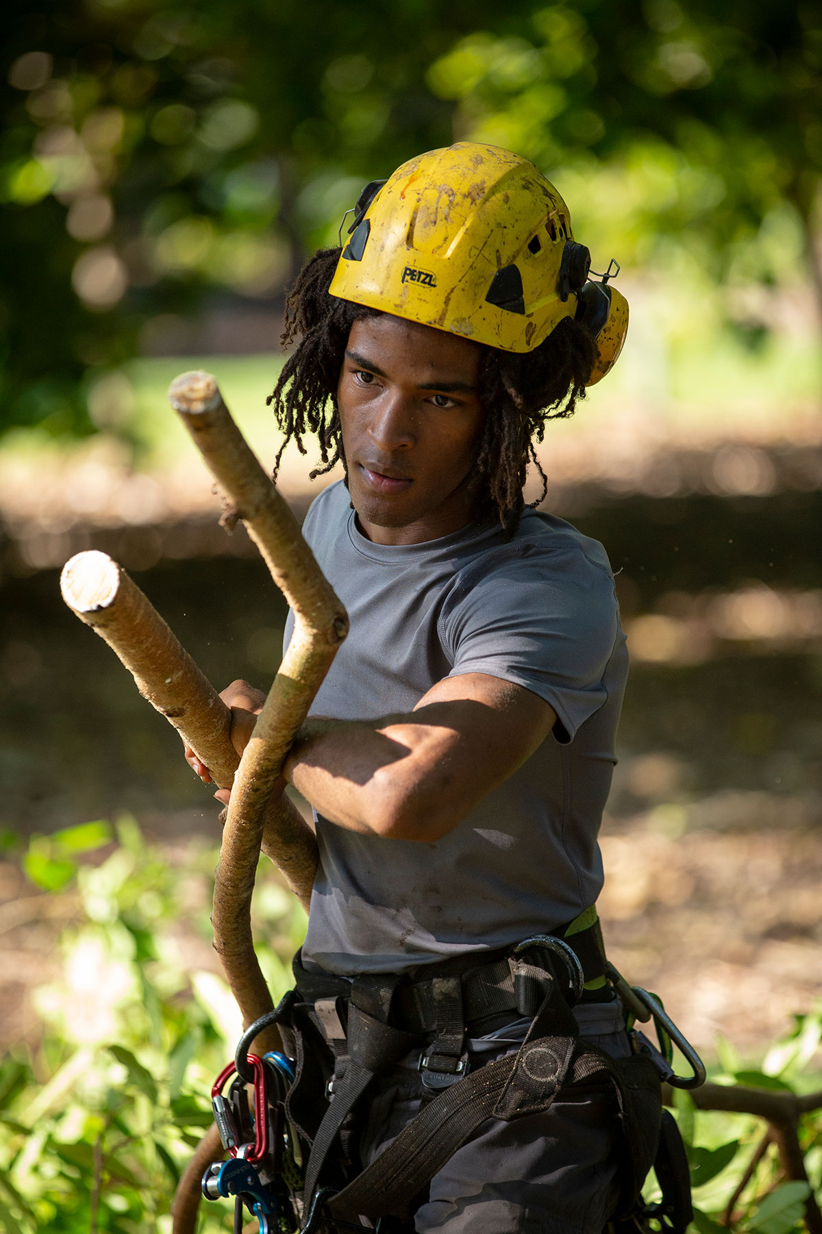 Arborist Benyah Andressohn in Miami removing branches