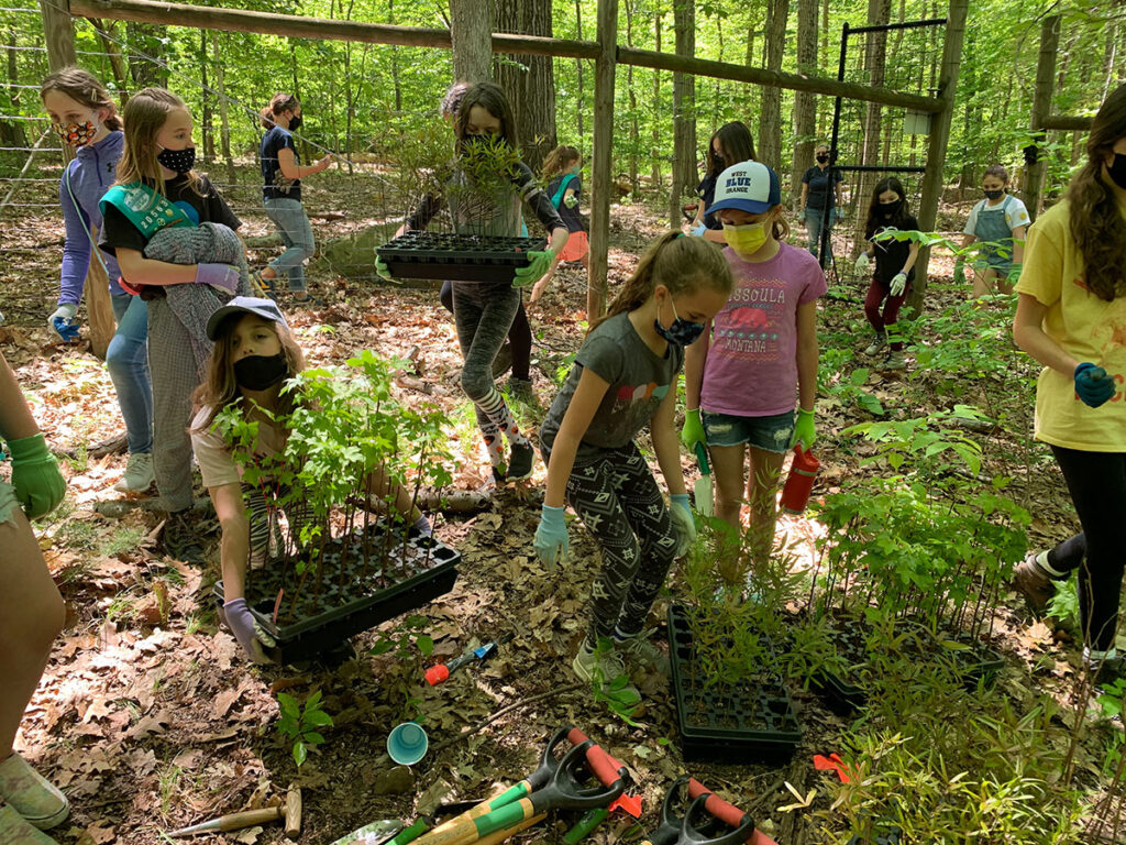 Tree Planting Camp Planting the path to 1 trillion trees - American Forests
