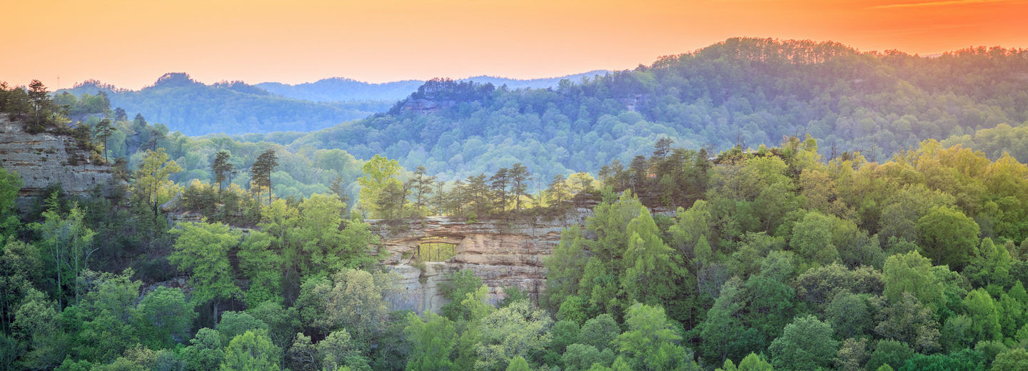 Bulleit & American Forests - American Forests