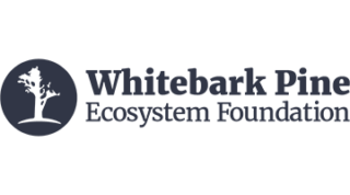Whitebark Pine Ecosystem Foundation Logo