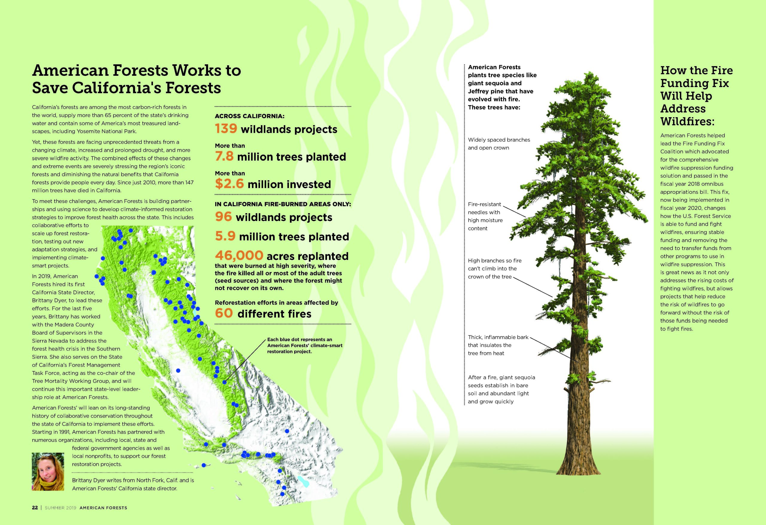 American Forests Works to Save California's Forests - American Forests