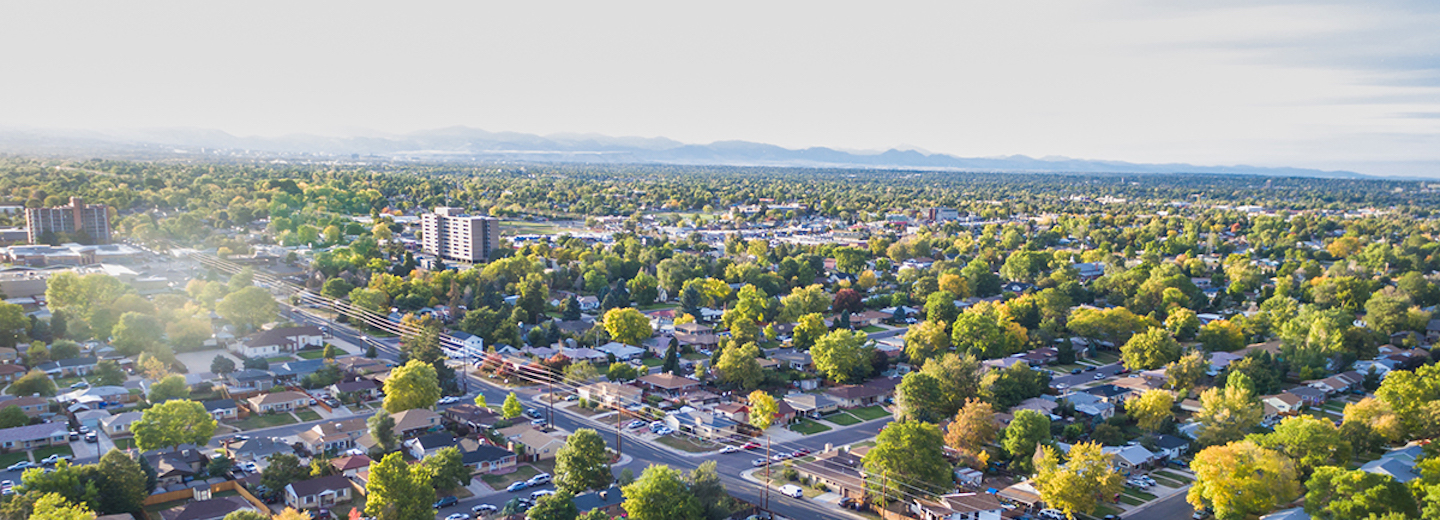 Trees for Community Recovery - American Forests