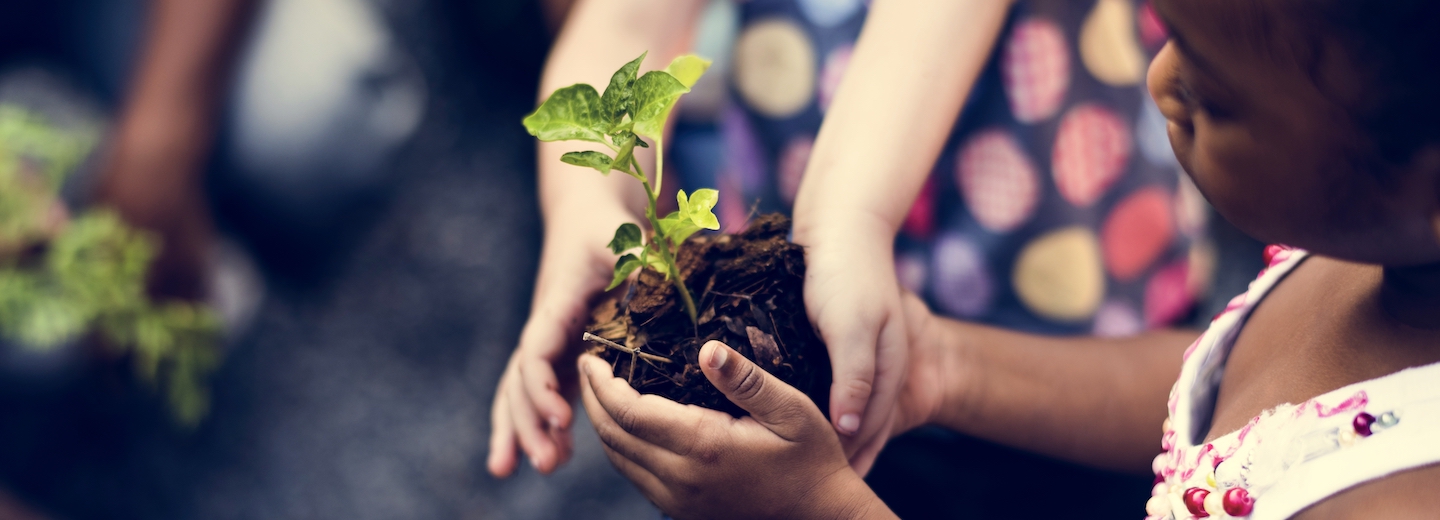 How to Choose and Plant a Tree American Forests