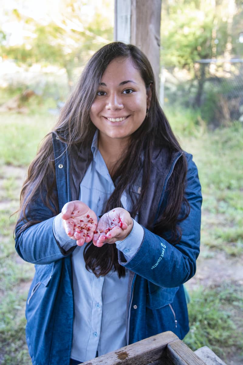 Gisel Garza: Seed hunter - American Forests