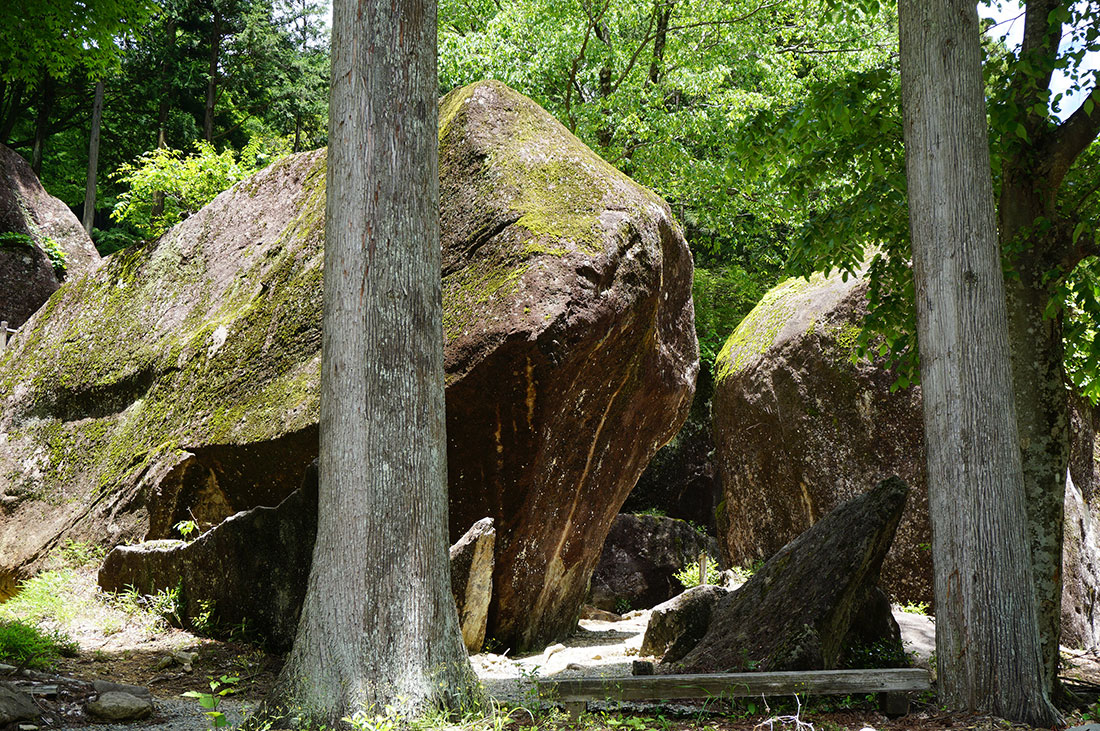 Two Japanese sugi (cryptomeria Japonica) trees flank the Kanayama megaliths.