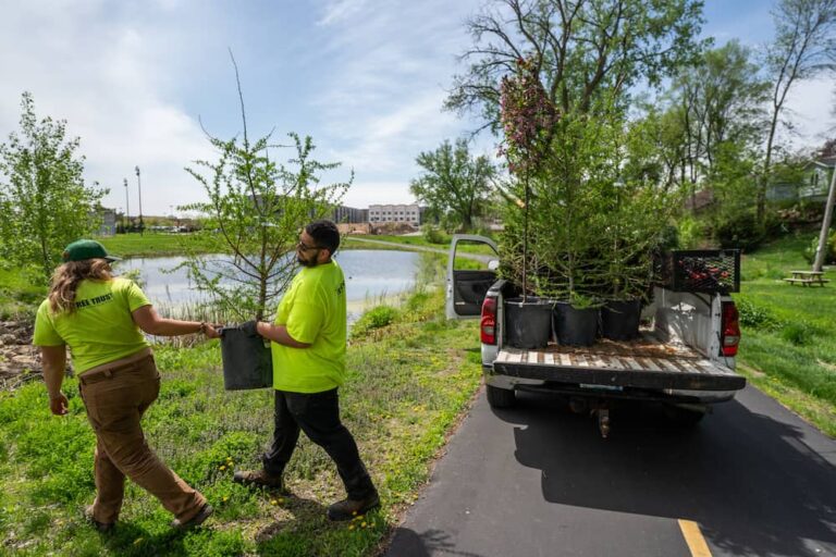 Tree Equity Score One Year Later American Forests