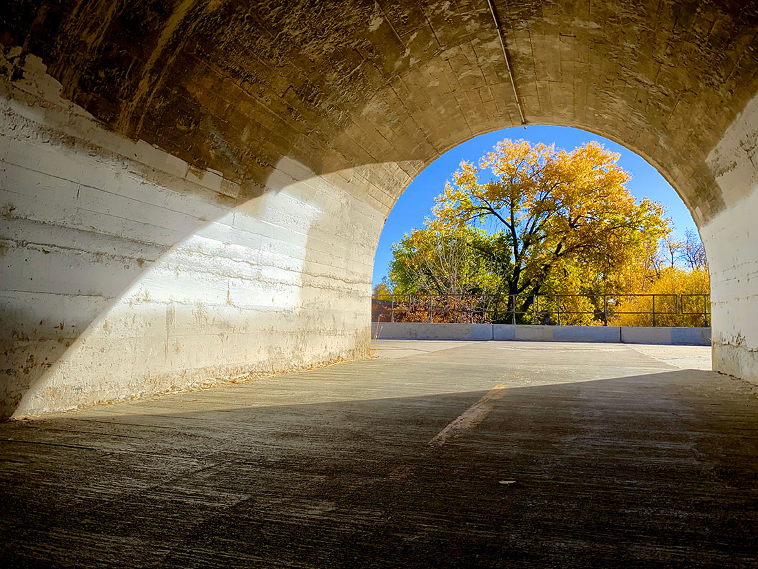 Autumn Tunnel