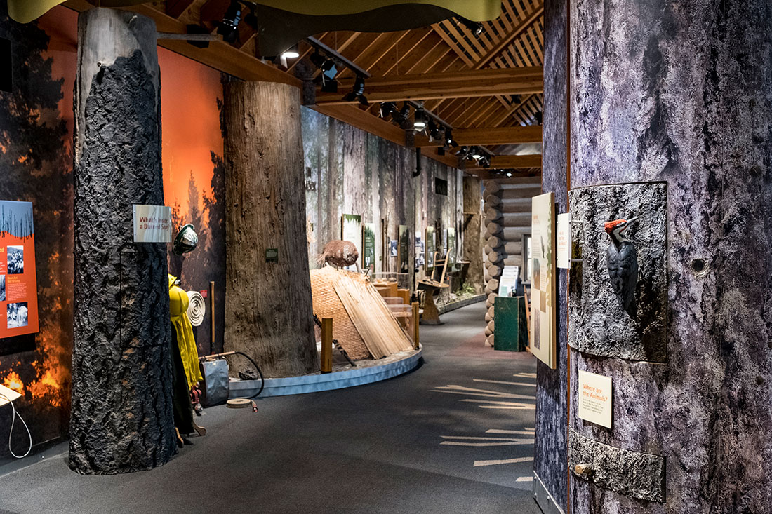 The Tillamook Forest Center details the history and ecology of the Tillamook State Forest and the fires that shaped it. Decker was a driving force behind the creation of the center and has written extensively on the history of the Tillamook Burn.