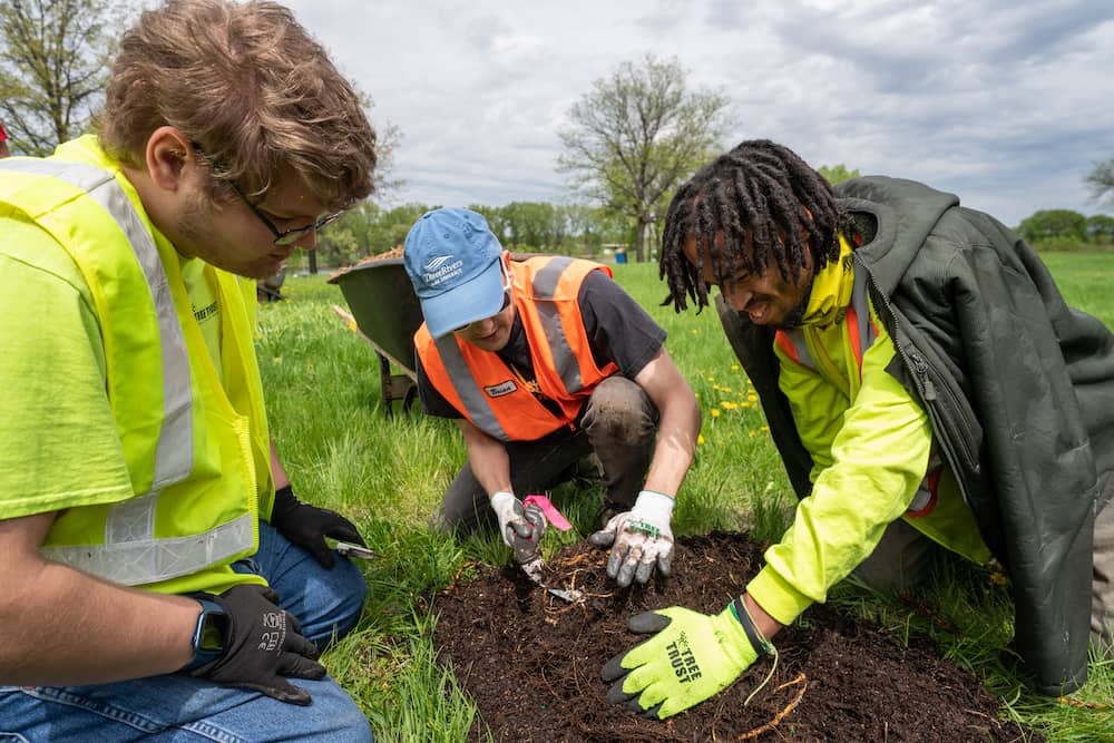 Tree Equity Curriculum - American Forests