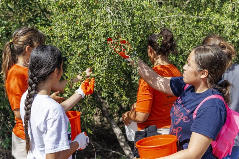 Gathering hope one seed at a time American Forests