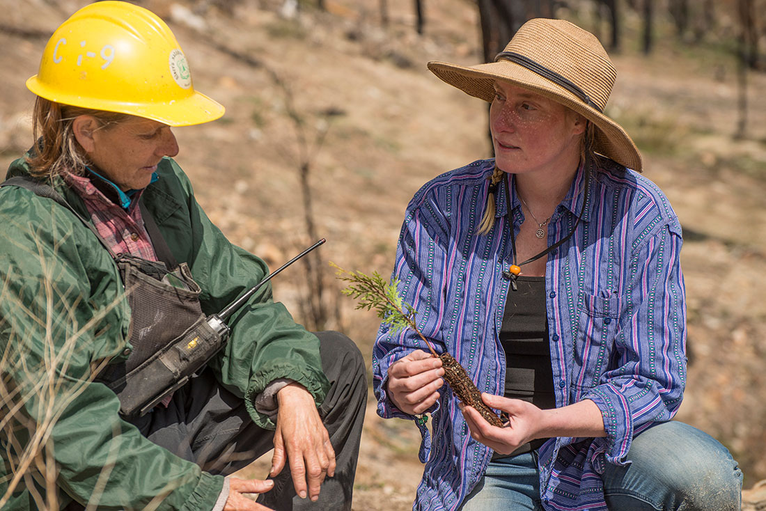 : Francey Blaugrund of the U.S. Forest Service (left) and Britta Dyer, American Forests’ senior director for California and Pacific Islands, discuss reforestation strategies during a restoration project in the Creek Fire and French Fire burn scar area in California’s Sierra National Forest.