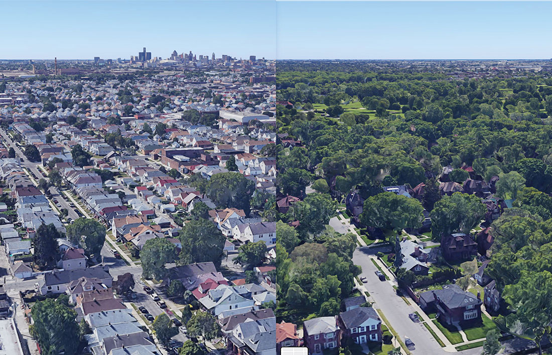 Two Detroit neighborhoods have widely varying tree canopy. Trees are critical city infrastructure, and those with less tree cover have increased health risks, fewer recreational opportunities and higher utility costs. DTEP aims to reduce this inequity in tree distribution.