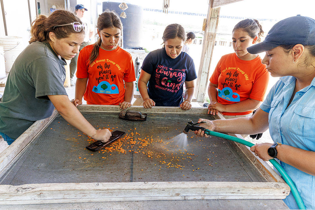: Gisel Garza, American Forests’ project manager for the Rio Grande Valley, washes down granjeno berries as Girl Scouts help to remove the pulp during a learning event at the U.S. Fish & Wildlife Service’s Marinoff Nursery in Texas.