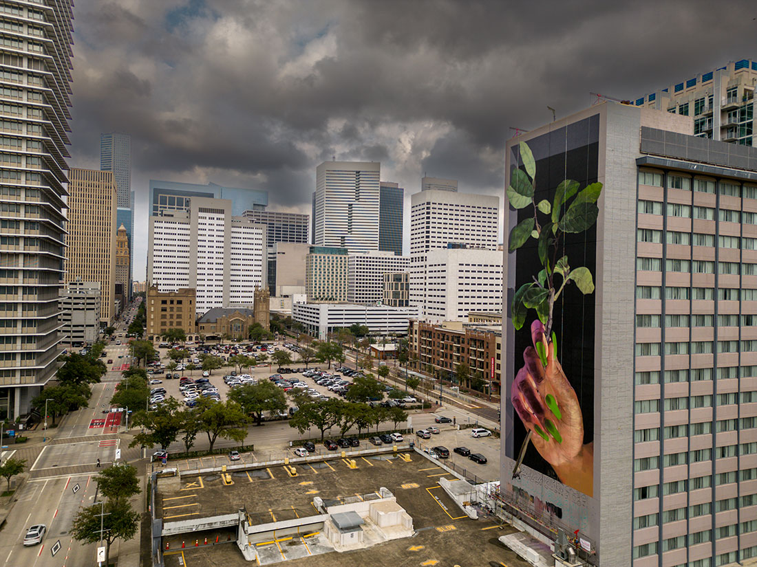 The completed 16-story mural on the side of the Holiday Inn not only adds green to Houston’s skyline, but also calls attention to the need for Tree Equity in cities. The mural is the first ecosystem mural unveiled in the United States to draw attention to the United Nations Decade on Ecosystem Restoration and its #GenerationRestoration campaign.