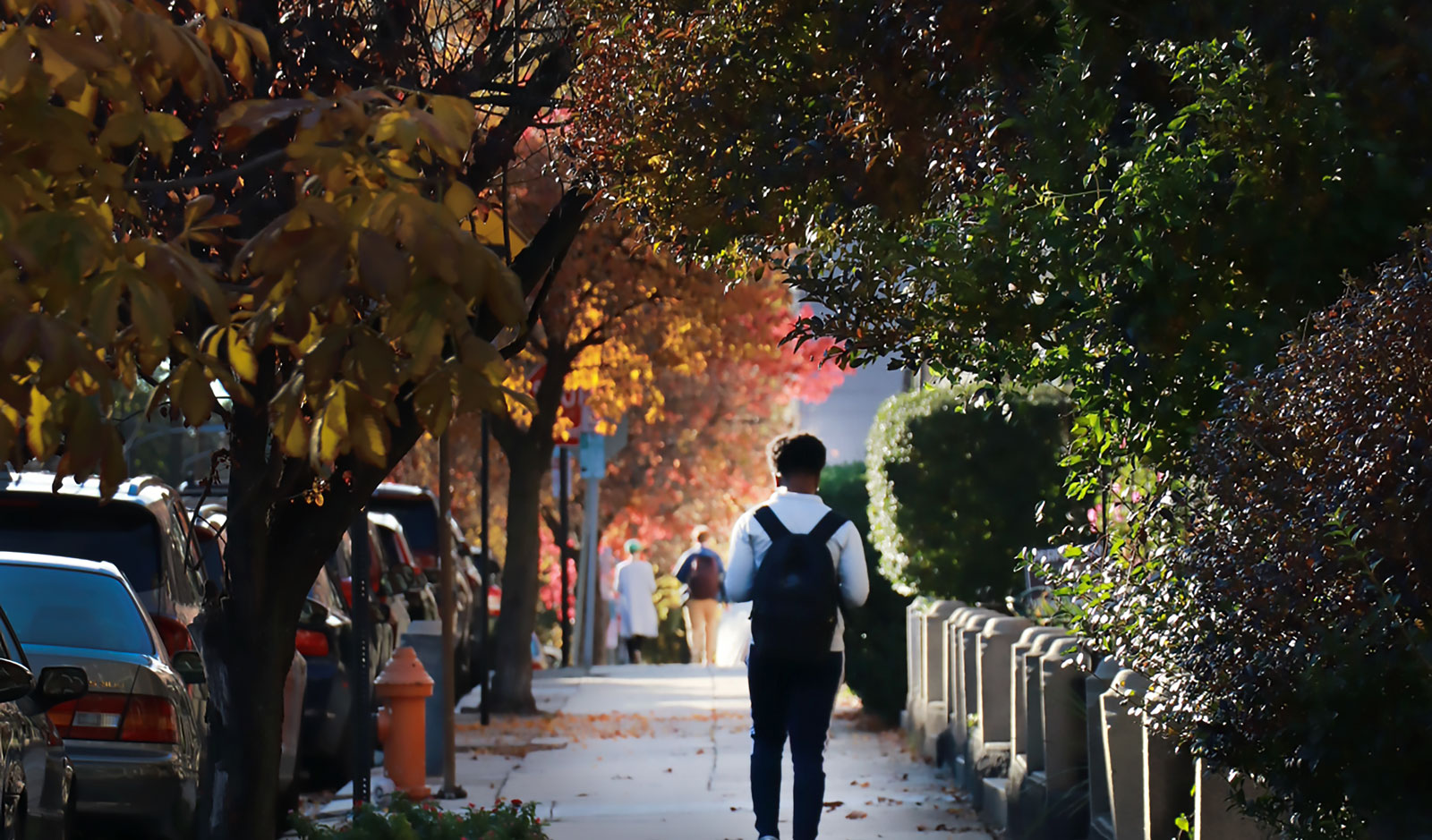 American Forests unveils updates for Tree Equity Score tool to address