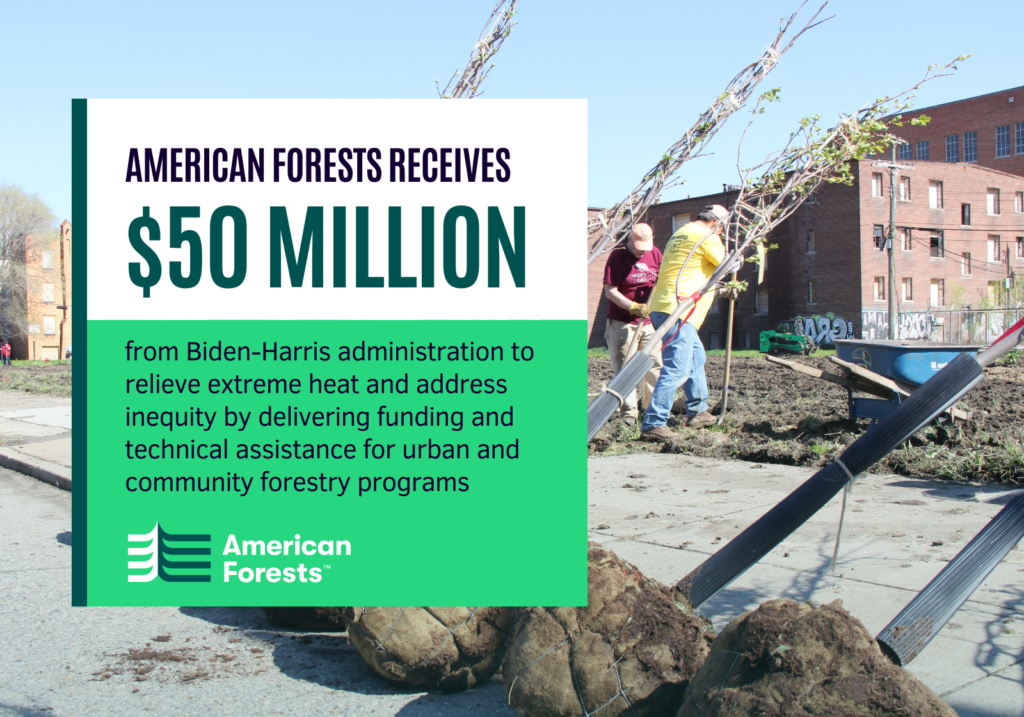 American Forests awarded catalytic USDA Forest Service funding to ...