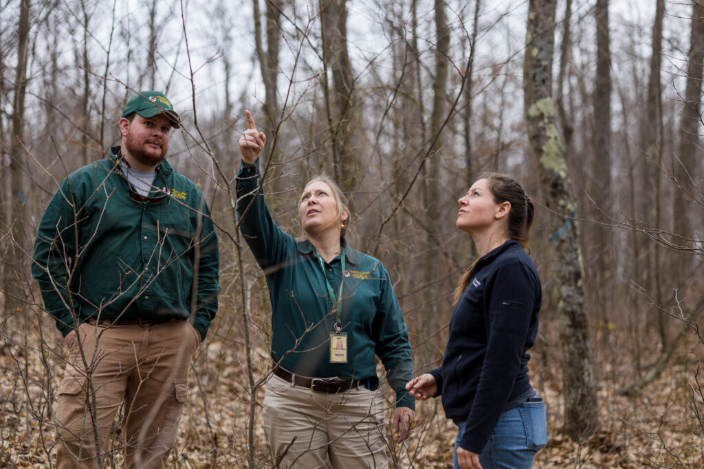 From L to R) Savage River State Forest Manager Sean Nolan, Anne Hairston-Strang, Maryland Forest Service’s acting state forester, and DeLyser discuss carbon modeling at the Amish Road hardwood thinning site, which was harvested in 2011 and is now regenerating. Photos from a forest that was thinned in 2011.

Taylor Kampia / American Forests