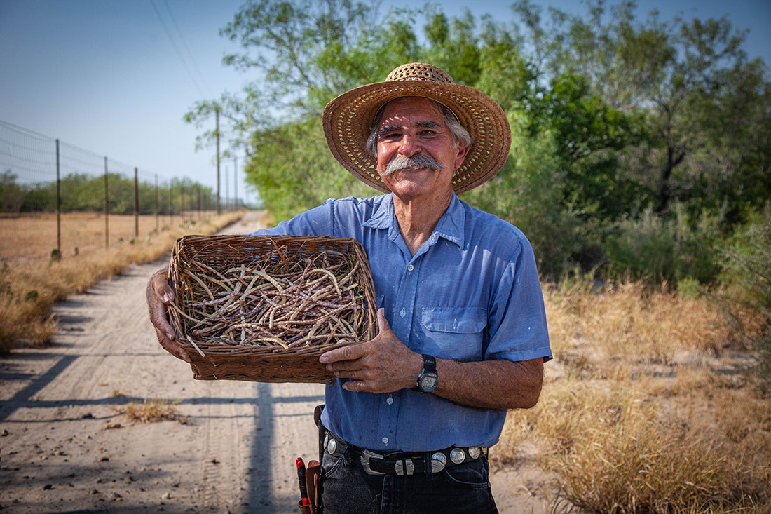 Benito Trevino displays mesquite beans he just harvested, which are used to make flour and are culturally significant among indigenous communities of the Southwest United States and Northern Mexico.