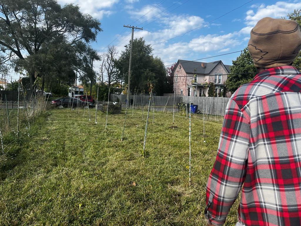 Marcellus evaluates a lot where he grows trees for Urban Tree Farm.