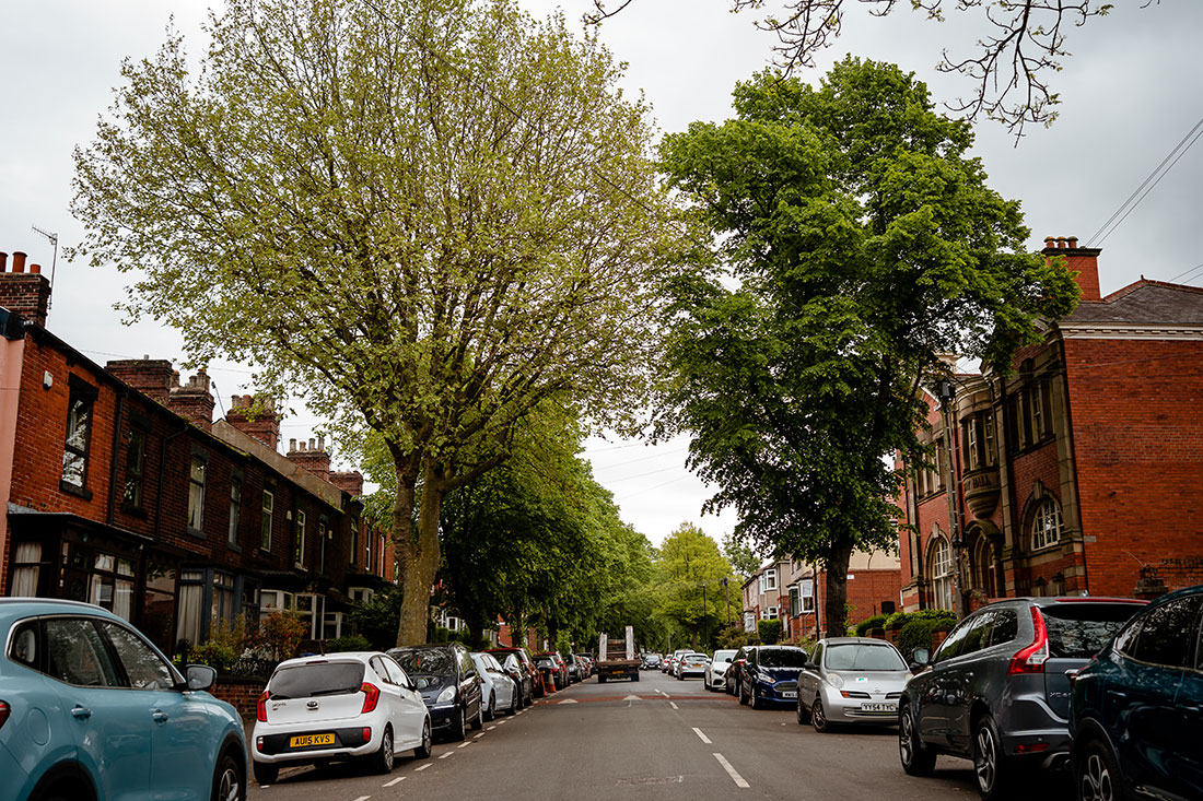 Meersbrook Park Road was a flashpoint in the “Tree Wars” that erupted when Sheffield decided to fell thousands of mature trees for road improvement projects.