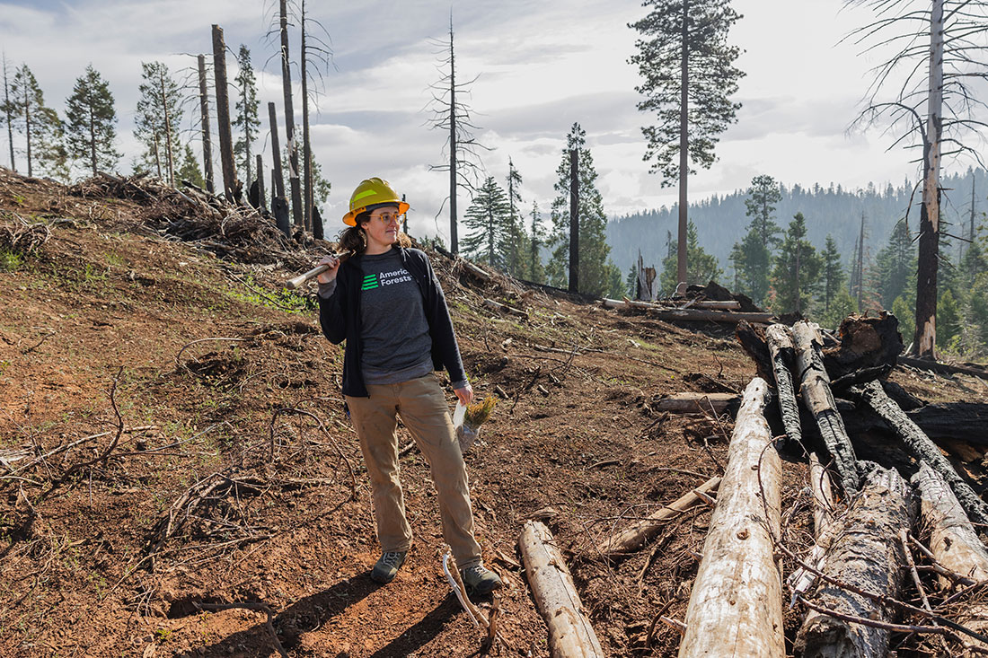 Kat Barton, American Forests’ Southern California reforestation manager, looks across a restoration site in the Sequoia National Forest. The site was recently prepped and planted with a mix of conifers, including giant sequoias.