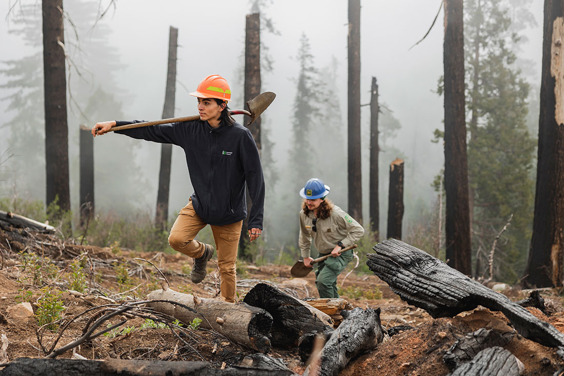Noé Romo Loera, Cone Corps member, walks through a restoration site with Joshua Miller of the U.S. Forest Service. They plant giant sequoia seedlings and remove surrounding vegetation that could out-compete the fledgling shoots.