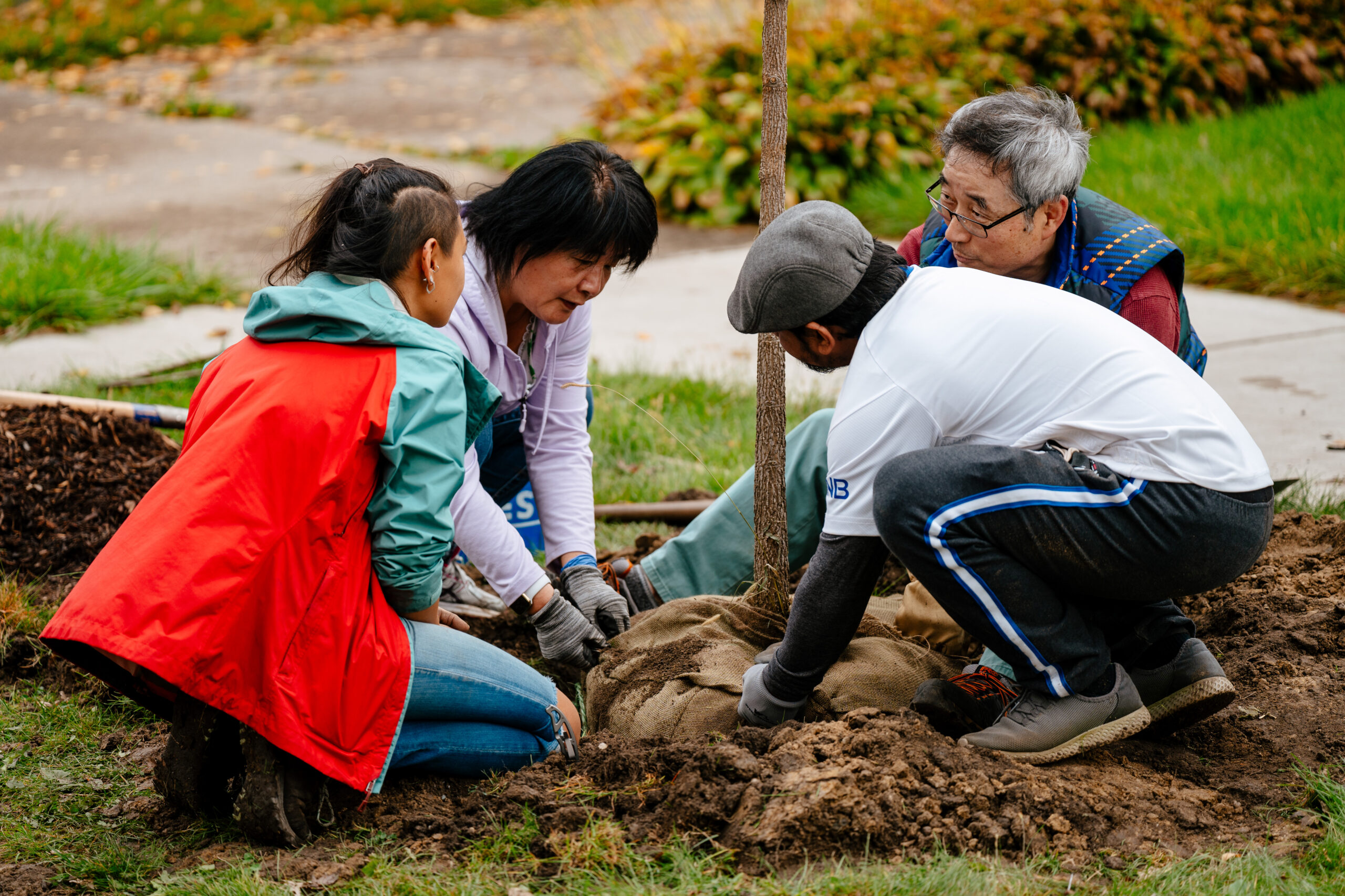 Ask Congress to advance tree planting bills - American Forests