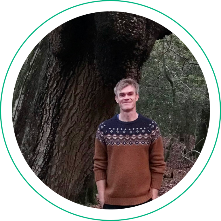 Tree Equity Score goes international American Forests