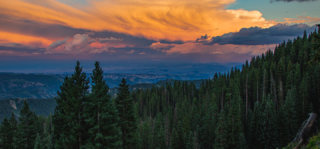 Category: Forest Landscapes I drove dirt roads a long time before I found a campsite with an overlook in Gunnison National Forest. The reward was a superb Colorado sunset! Liz Guertin @wildliz_photography