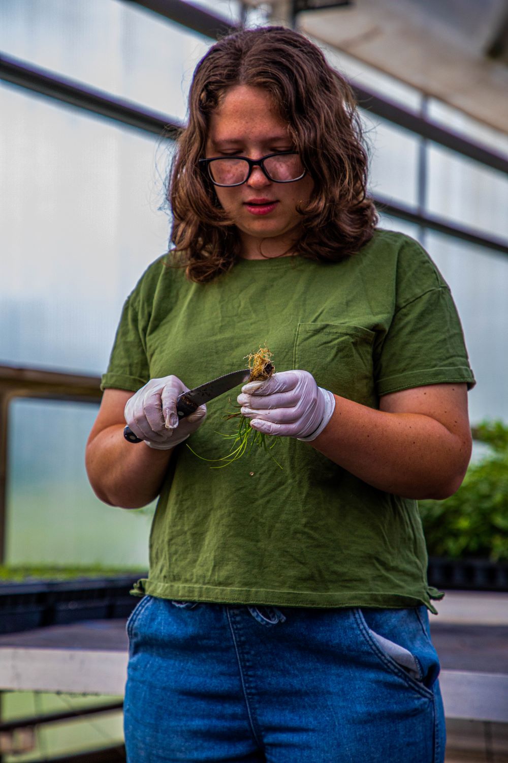 Christina Gualtieri, an intern with Greenbelt Native Plant Center, is studying environmental science at Brooklyn College. While at Greenbelt, she conducted research on tree beds to assess the health of street trees in New York City. Aleksandr Watson / American Forests