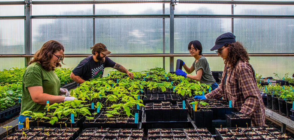 Interns at Greenbelt Native Plant Center experience every element of the nursery’s work, including seed collection, propagation, mixing compost and transplanting saplings Aleksandr Watson / American Forests
