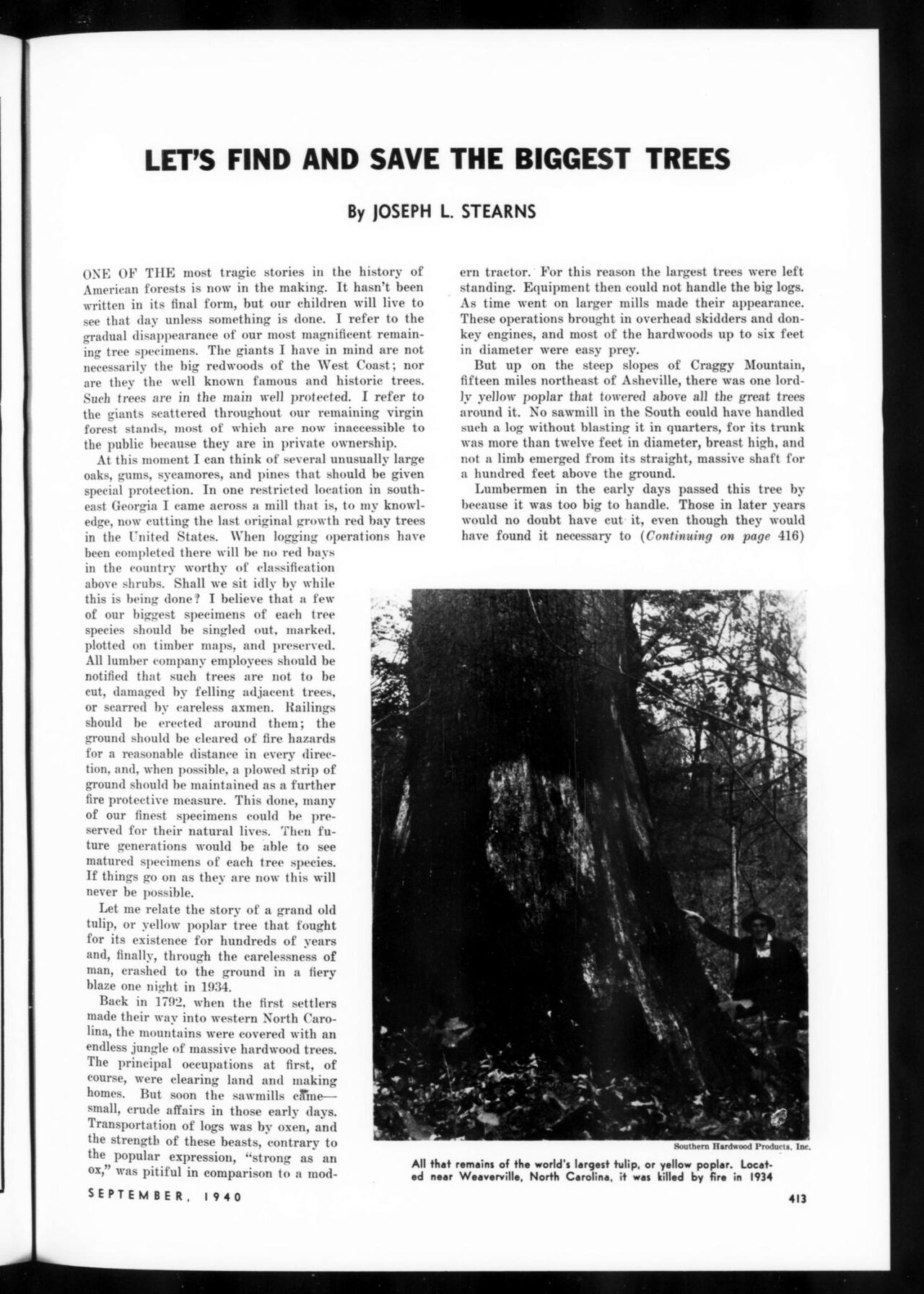 In 1940, the National Champion Tree Program was launched in American Forests magazine by noting: “Such a conservation activity, it is believed, will have incalculable benefits, not only in stimulating greater tree appreciation, but in establishing a nation-wide laboratory for tree and forestry studies by future generations.”