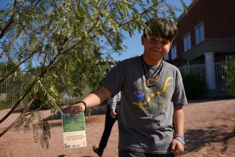 The City of Phoenix received $10 million for their Roots of Phoenix initiative to fund grants for neighborhood and school tree plantings, ultimately planting thousands of new trees in the hottest large city in the U.S. Jonathan Elias / Paideia Academies