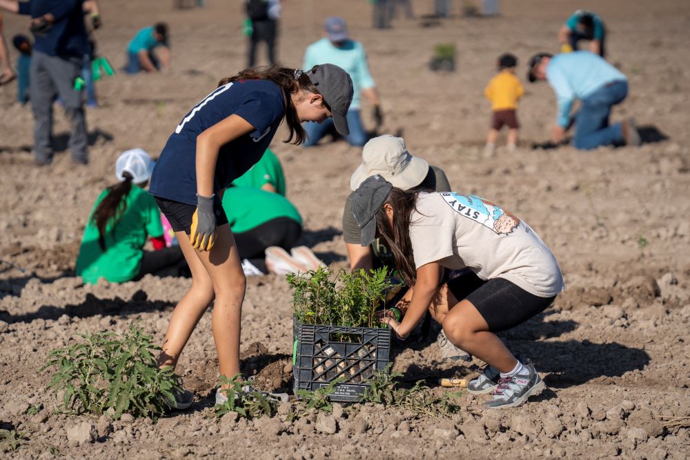 Volunteers crouch down near a crate full of seedlings. Each crate holds a mixed variety of species. In total, 32 different species are planted during Rio Reforestation 2023. Jeremy Inglesi Jr. / American Forests