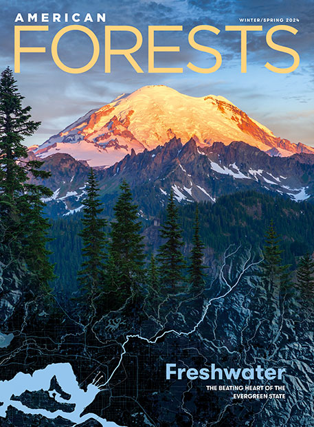 Winter/Spring 2024 American Forests Magazine Cover